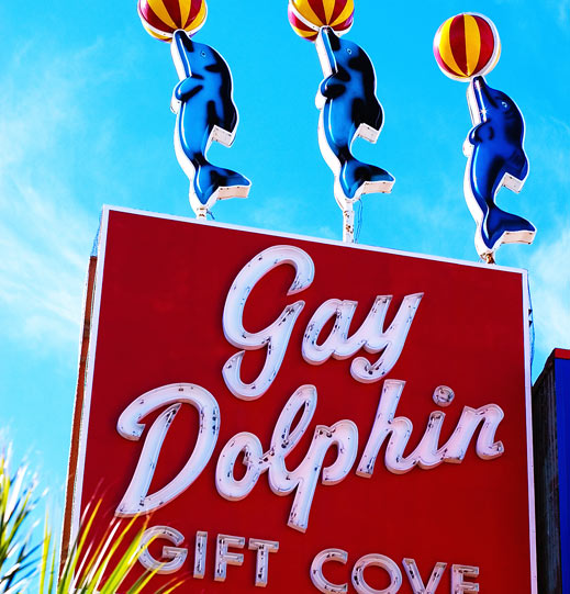 The infamous Gay Dolphin